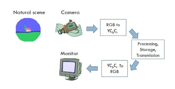 Image and Video Processing